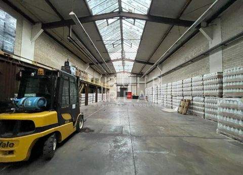 Viersen Halle, Viersen Hallenfläche