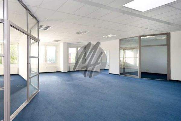 INFOS UNTER: 06171-586000