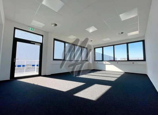 INFOS UNTER: 06171-586000