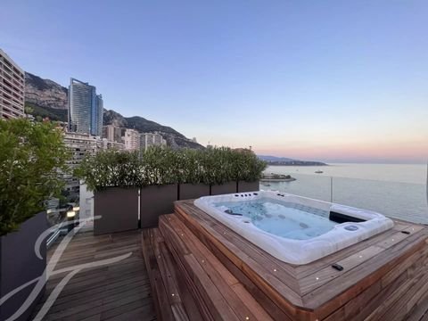 Monaco Wohnungen, Monaco Wohnung kaufen