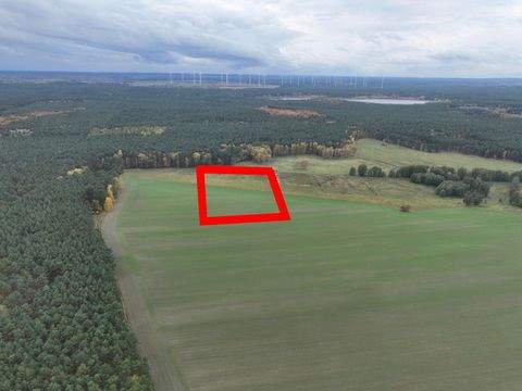 Caminchen / Alt Zauche Bauernhöfe, Landwirtschaft, Caminchen / Alt Zauche Forstwirtschaft