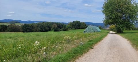 Katzberg Grundstücke, Katzberg Grundstück kaufen