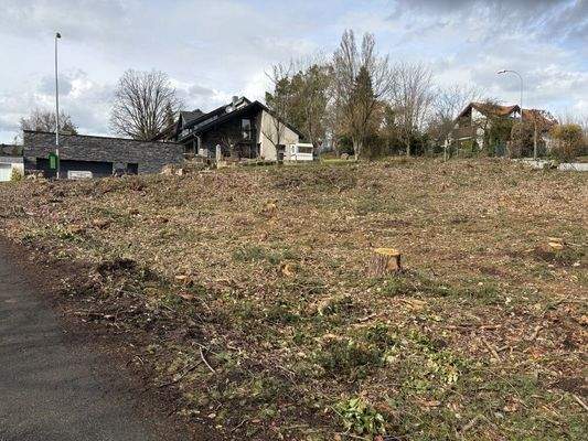 Baugrundstück Röttenbach 010