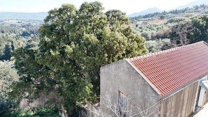 dji_fly_20250131_104330_0010_1738313129800_photo-C