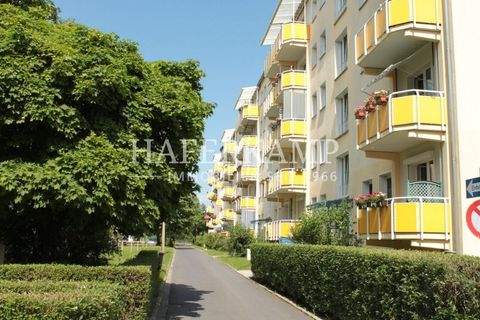 Dresden Wohnungen, Dresden Wohnung kaufen