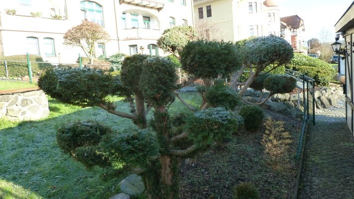 Gartendetail