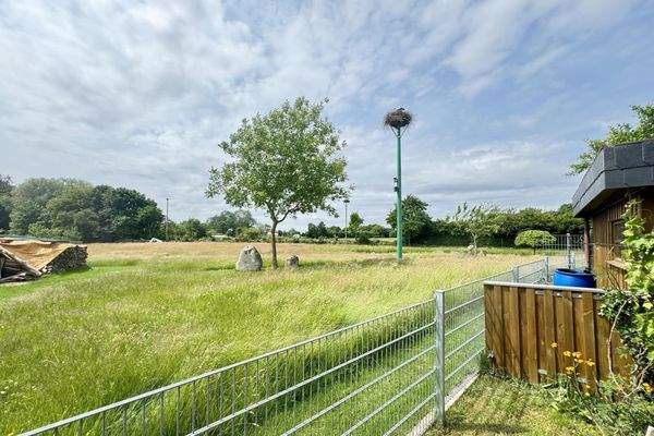 Aussicht auf das Nachbargrundstück