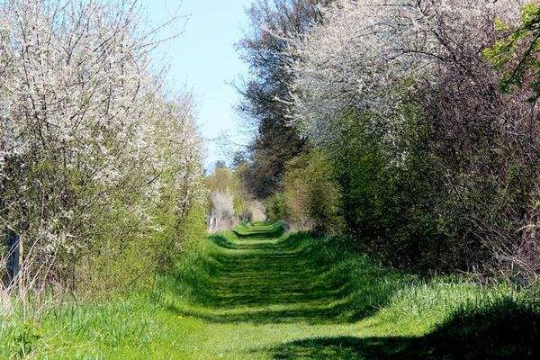 Wanderweg in Schwarmstedt