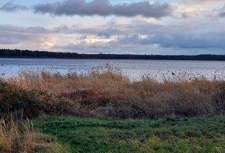 Seeblick Kirchmöser.jpg