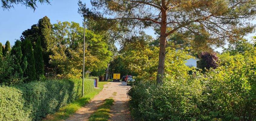 Blick vom Grundstück zur Straße 
