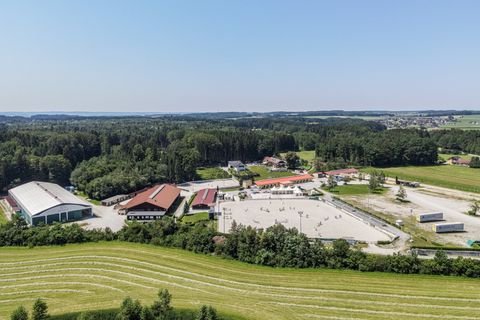 Salzburg Bauernhöfe, Landwirtschaft, Salzburg Forstwirtschaft