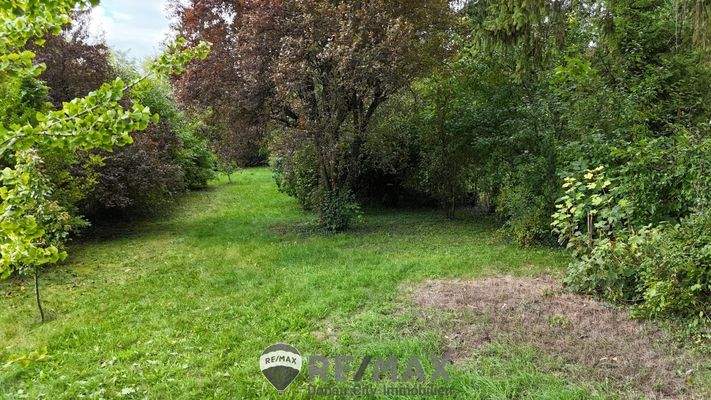 02 Grundstück in Langenzersdorf