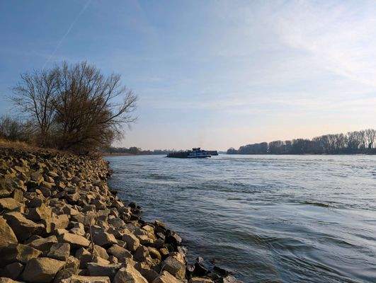 Rhein