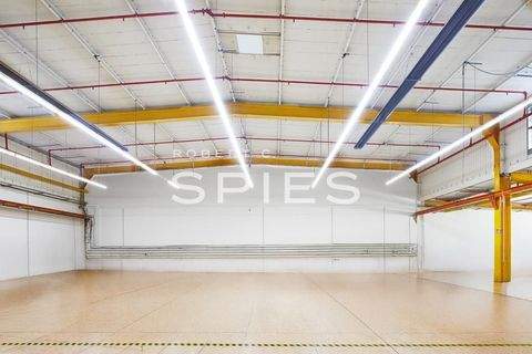 Bremen Halle, Bremen Hallenfläche