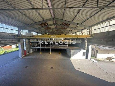 Pößneck Halle, Pößneck Hallenfläche