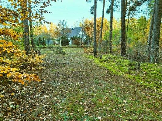 03 Weg zum Bungalow.jpg