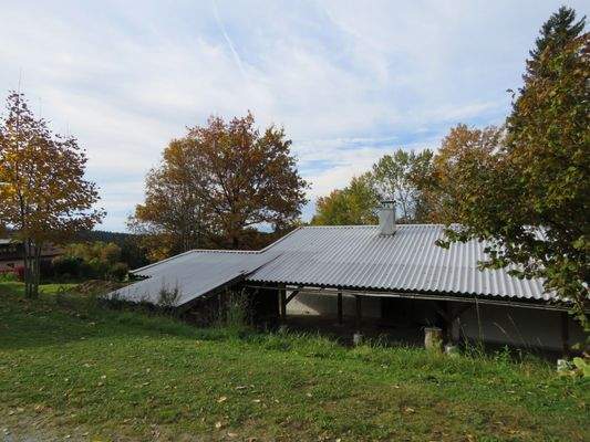 Neuwertiges Wellblechdach 