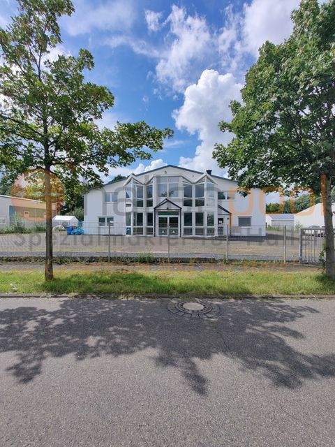 Neustadt (Wied) Halle, Neustadt (Wied) Hallenfläche
