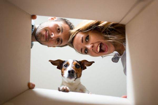 Neugierige Blicke von oben