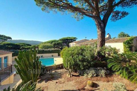 Ramatuelle Häuser, Ramatuelle Haus kaufen