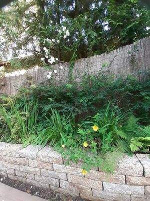 Blick von der Terrasse