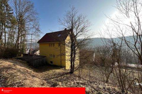 Tuttlingen Häuser, Tuttlingen Haus kaufen