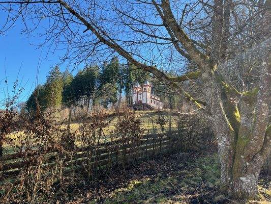 Blick Richtung Bebauungsrand