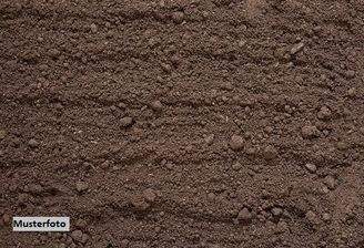 Keine Originalbilder