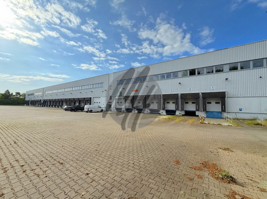 INFOS UNTER: 06171-586000