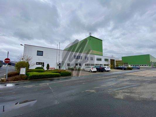 INFOS UNTER: 06171-586000