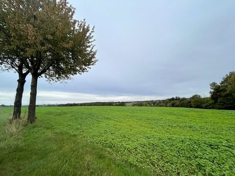 Anröchte Bauernhöfe, Landwirtschaft, Anröchte Forstwirtschaft