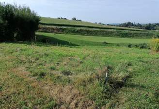 f025016f-a895-4b29-a85d-54548a7bc913