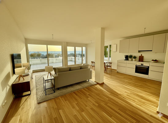 Visualisierung1 (1).png