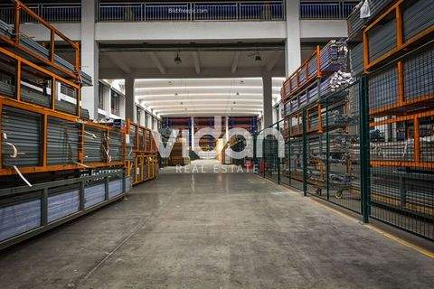 Leverkusen Halle, Leverkusen Hallenfläche