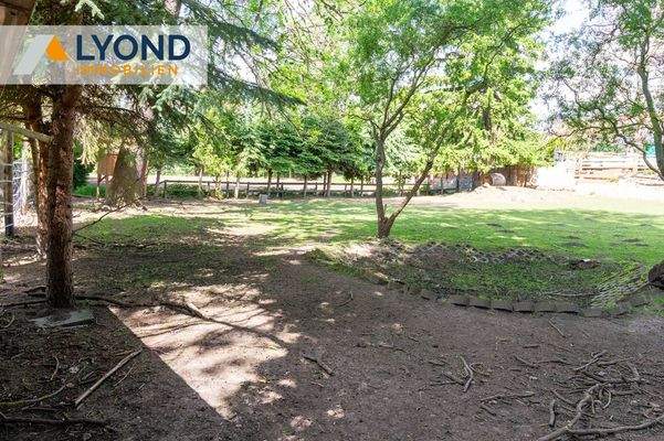 Grünfläche mit Baum bestand