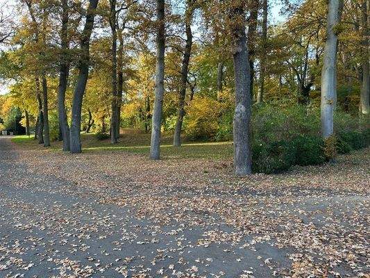 umgeben  von Waldflächen