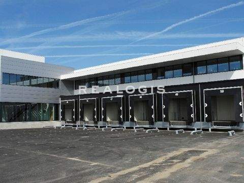Eichenzell Halle, Eichenzell Hallenfläche