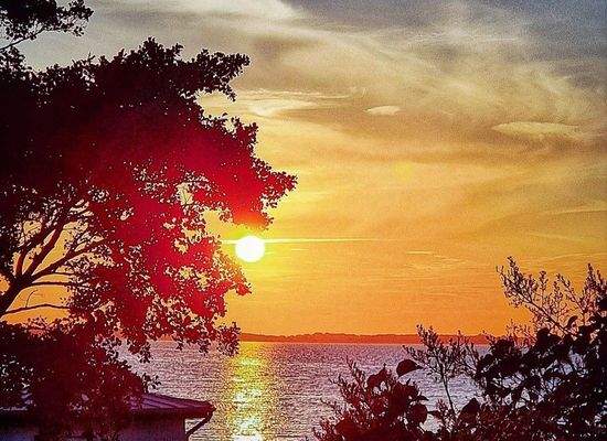 Diskrete Vermarktung