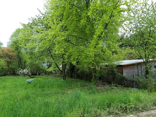 Gartenbereich