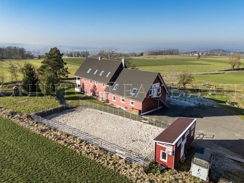 Vilseck Häuser, Vilseck Haus kaufen