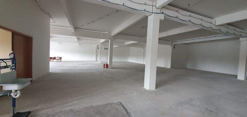 20230727_110420_resized