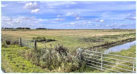 Westerhever Bauernhöfe, Landwirtschaft, Westerhever Forstwirtschaft