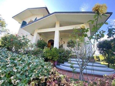 Forte dei Marmi Häuser, Forte dei Marmi Haus kaufen