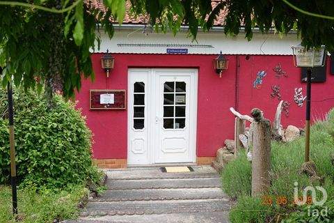 Treffurt / Falken Häuser, Treffurt / Falken Haus kaufen