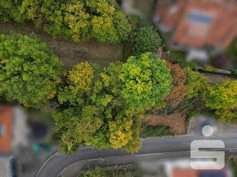 Randersacker Grundstücke, Randersacker Grundstück kaufen