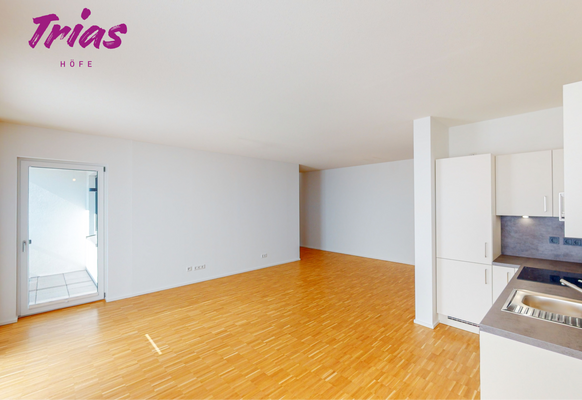 Wohn-, Koch- und Essbereich (Musterwohnung)