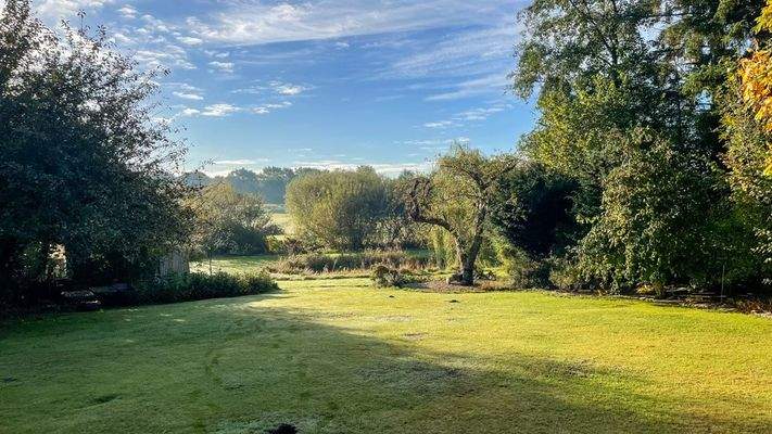 Blick in den Garten