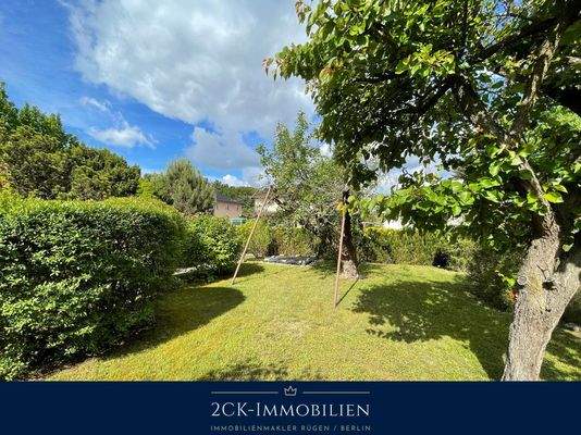 Albrecht-Dürer 22 013