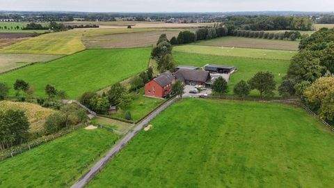 Selm Bauernhöfe, Landwirtschaft, Selm Forstwirtschaft