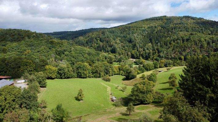 Aussicht ins Tal über dem Haus